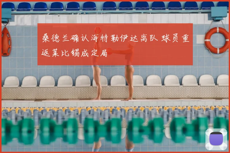 桑德兰确认海特勒伊达离队 球员重返莱比锡成定局